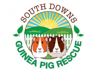 South Downs Logo RGB